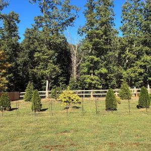 Photo #43 of 1240 Gladden Circle, Forest, VA 1.0 acres