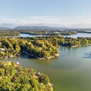 Photo #83 of 118 Creeden Drive, Moneta, VA 0.9 acres