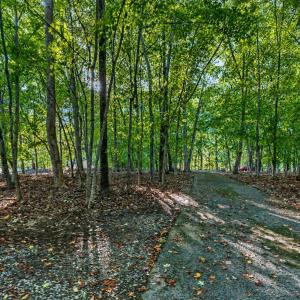 Photo #60 of 118 Creeden Drive, Moneta, VA 0.9 acres