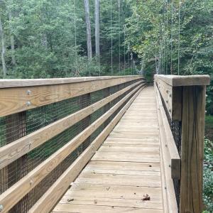Downstream Swinging Bridge over Blackwater creek just a few steps from your back gate.