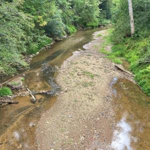Blackwater creek