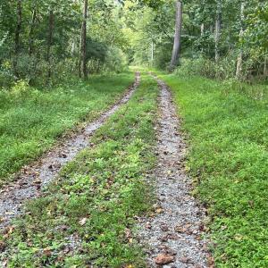 Blackwater creek trail is right at your backyard.