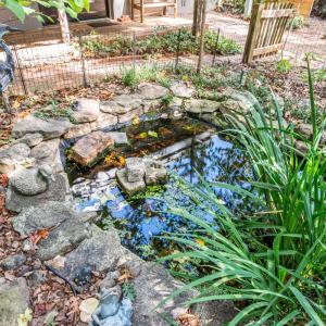 Photo #49 of 182 Dawnridge Drive, Lynchburg, VA 0.6 acres