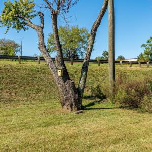 Photo #38 of 67 Grass Street, Brookneal, VA 1.2 acres
