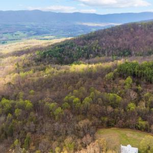Photo #80 of 1374 Moccasin Rd, Thaxton, VA 142.0 acres
