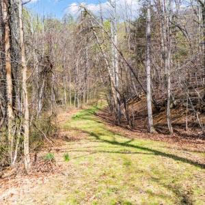 Photo #39 of 1374 Moccasin Rd, Thaxton, VA 142.0 acres