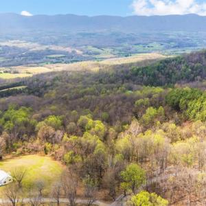 Photo #79 of 1374 Moccasin Rd, Thaxton, VA 142.0 acres