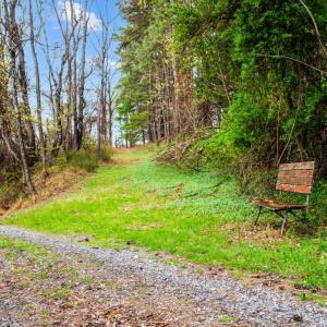 Photo #78 of 1374 Moccasin Rd, Thaxton, VA 142.0 acres