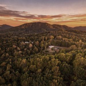 Photo #61 of 3850 Coffee Road, Forest, VA 1.7 acres