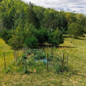 Photo #53 of 3850 Coffee Road, Forest, VA 1.7 acres