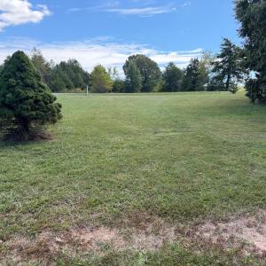 Photo #40 of 222 Rocky Ridge Road, Gladys, VA 2.6 acres
