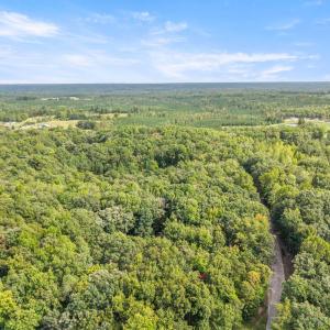 Photo #40 of 216 Whispering Wood Road, Meherrin, VA 5.3 acres