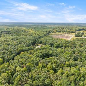 Photo #41 of 216 Whispering Wood Road, Meherrin, VA 5.3 acres