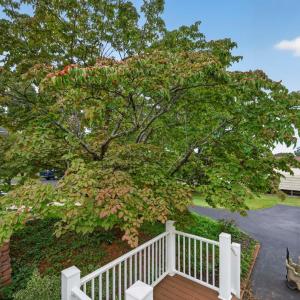 Photo #44 of 11094 Leesville Road, Evington, VA 1.8 acres