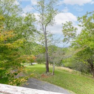 Photo #6 of 472 Crest Of Pedlar Drive, Monroe, VA 11.6 acres