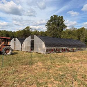 Photo #46 of 3678 Long Island Road, Gladys, VA 69.5 acres