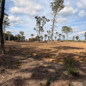 Photo #44 of 3678 Long Island Road, Gladys, VA 69.5 acres
