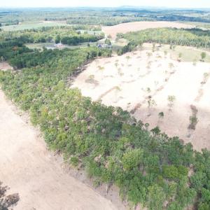 Photo #14 of 3678 Long Island Road, Gladys, VA 69.5 acres