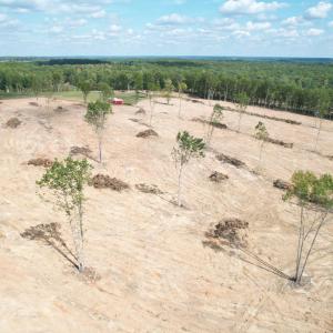 Photo #43 of 3678 Long Island Road, Gladys, VA 69.5 acres