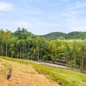 Photo #51 of 323 Mountain Top Way, Amherst, VA 5.1 acres