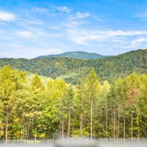 Photo #9 of 323 Mountain Top Way, Amherst, VA 5.1 acres