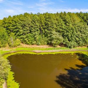 Photo #6 of 11271 Kentuck Road, Sutherlin, VA 574.4 acres