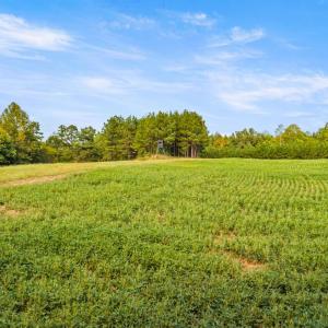 Photo #37 of 11271 Kentuck Road, Sutherlin, VA 574.4 acres