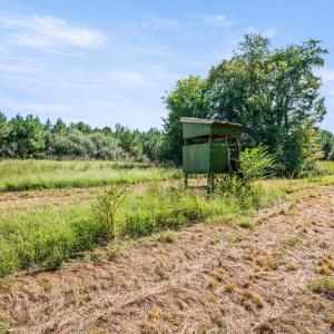 Photo #62 of 11271 Kentuck Road, Sutherlin, VA 574.4 acres