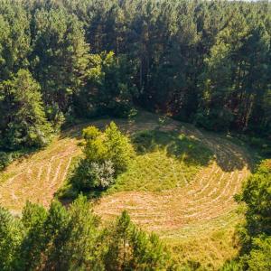 Photo #43 of 11271 Kentuck Road, Sutherlin, VA 574.4 acres