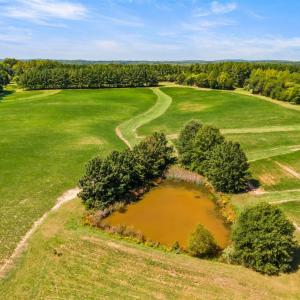 Photo #7 of 11271 Kentuck Road, Sutherlin, VA 574.4 acres