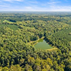 Photo #32 of 11271 Kentuck Road, Sutherlin, VA 574.4 acres
