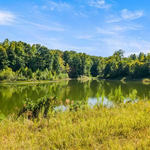Photo #28 of 11271 Kentuck Road, Sutherlin, VA 574.4 acres