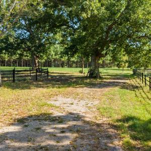 Photo #58 of 11271 Kentuck Road, Sutherlin, VA 574.4 acres