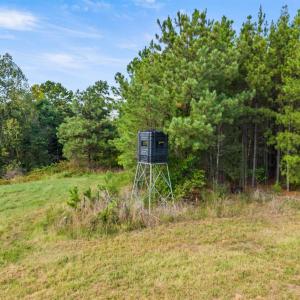 Photo #35 of 11271 Kentuck Road, Sutherlin, VA 574.4 acres