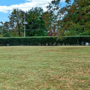Photo #64 of 1500 Langhorne Road, Lynchburg, VA 1.4 acres
