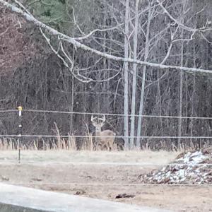 Photo #78 of 8882 Spring Mill Road, Concord, VA 21.1 acres