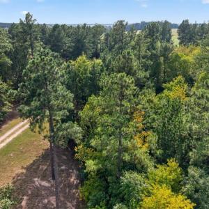 Photo #61 of 8882 Spring Mill Road, Concord, VA 21.1 acres