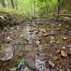 Photo #71 of 8882 Spring Mill Road, Concord, VA 21.1 acres