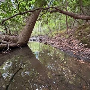Photo #72 of 8882 Spring Mill Road, Concord, VA 21.1 acres