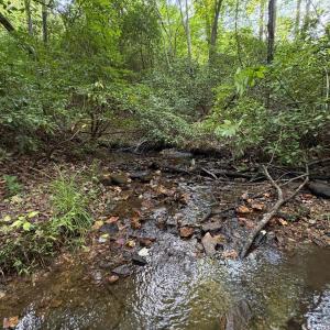 Photo #73 of 8882 Spring Mill Road, Concord, VA 21.1 acres