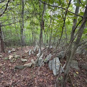Photo #66 of 8882 Spring Mill Road, Concord, VA 21.1 acres