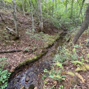 Photo #74 of 8882 Spring Mill Road, Concord, VA 21.1 acres