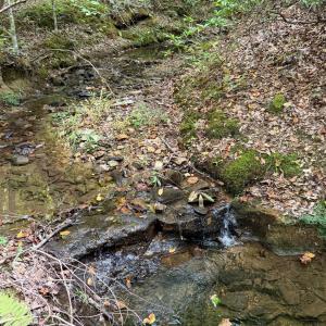 Photo #68 of 8882 Spring Mill Road, Concord, VA 21.1 acres