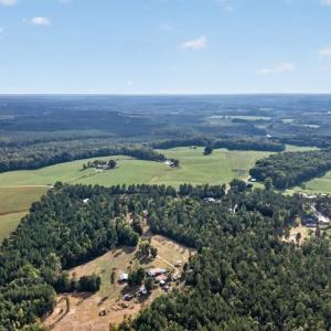 Photo #85 of 8882 Spring Mill Road, Concord, VA 21.1 acres