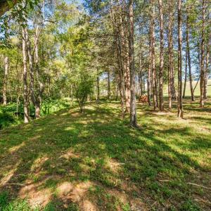 Photo #45 of 4424 Goode Road, Goode, VA 1.3 acres