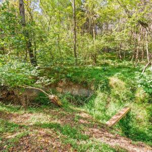 Photo #46 of 4424 Goode Road, Goode, VA 1.3 acres