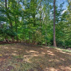 Photo #42 of 825 Mohawk Drive, Lynchburg, VA 1.6 acres