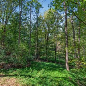 Photo #39 of 825 Mohawk Drive, Lynchburg, VA 1.6 acres