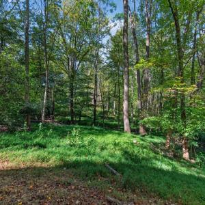 Photo #46 of 825 Mohawk Drive, Lynchburg, VA 1.6 acres