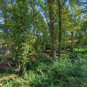 Photo #40 of 825 Mohawk Drive, Lynchburg, VA 1.6 acres